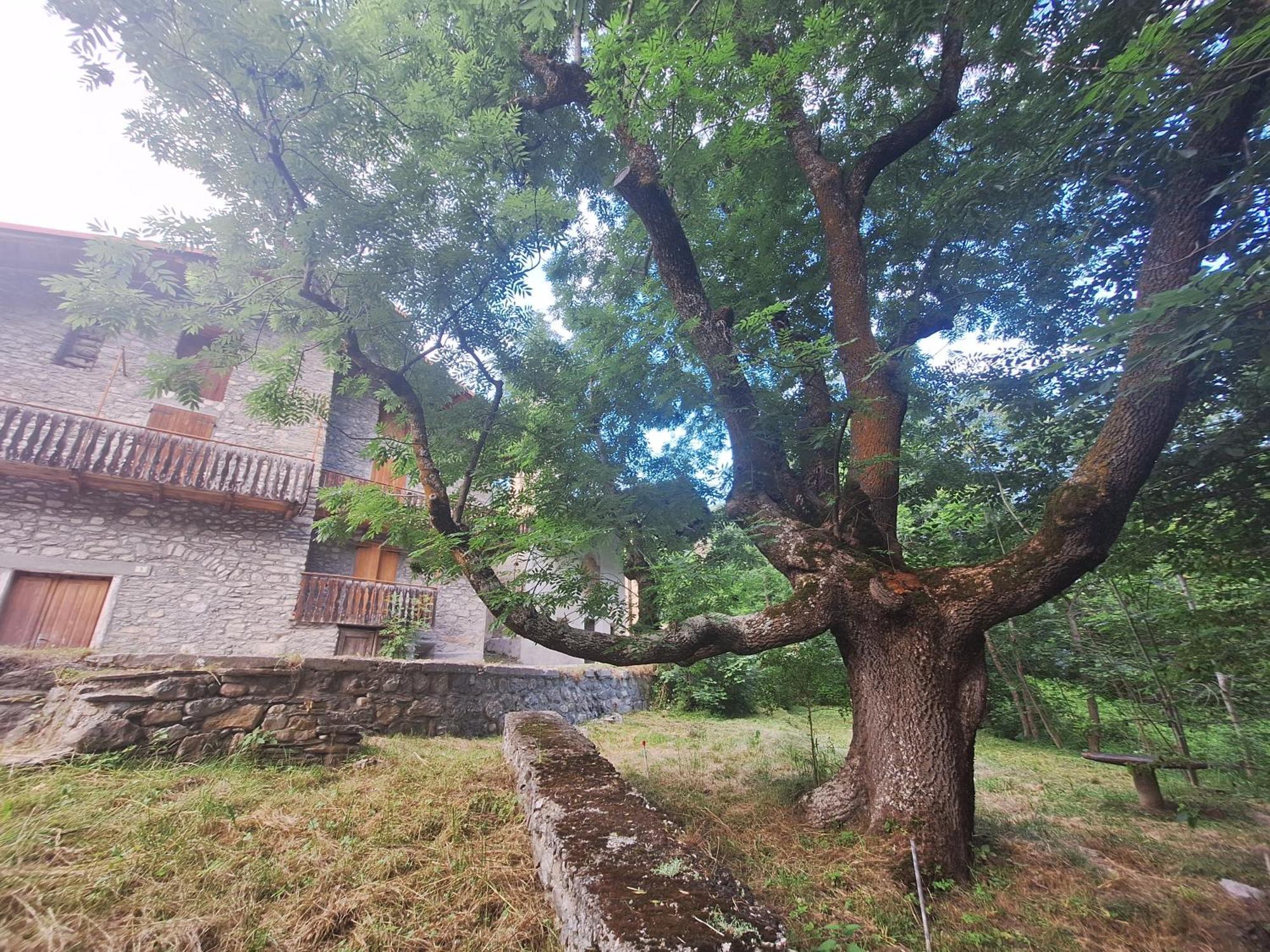 Apartmán La Casa Del Gigante Frassino Acceglio Exteriér fotografie
